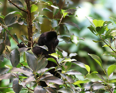 BioDome 07821.JPG