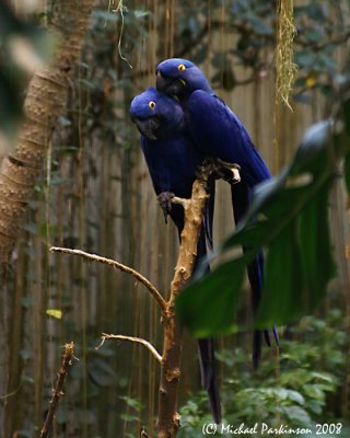 BioDome 07828.JPG