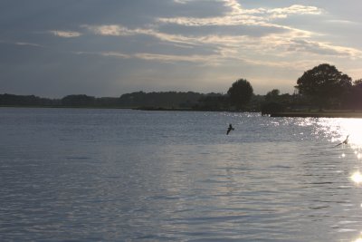 beach3.jpg