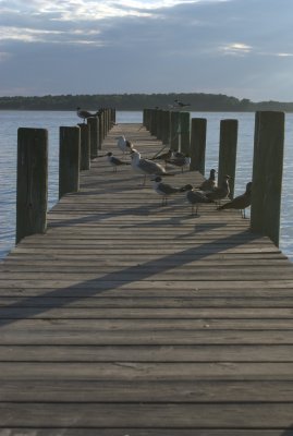 beach7.jpg