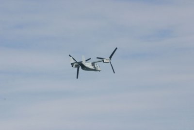 IMG_4018.JPG