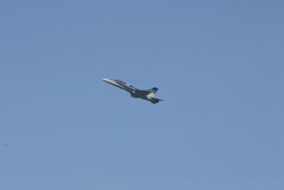 IMG_4028.JPG