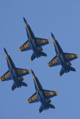 IMG_4049.JPG