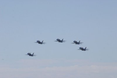 IMG_4069.JPG