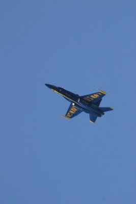 IMG_4079.JPG