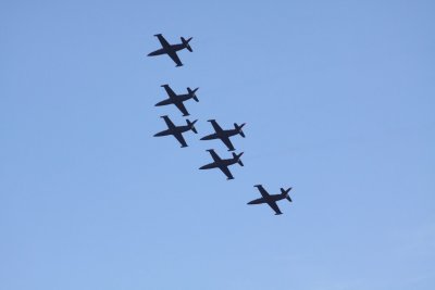 IMG_6936.JPG
