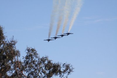 IMG_6957.JPG