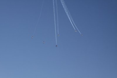 IMG_7006.JPG