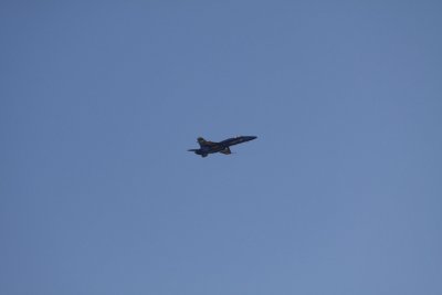 IMG_7009.JPG