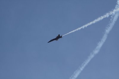 IMG_7013.JPG