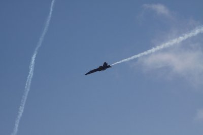 IMG_7014.JPG