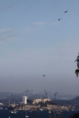 IMG_7017.JPG