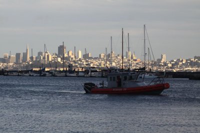 IMG_7027.JPG