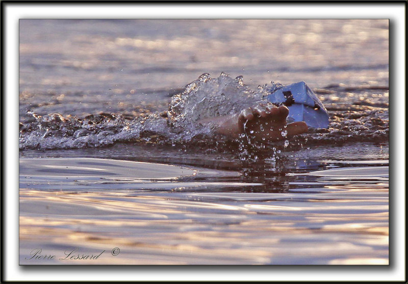 YANN MARCOTTE,  1 km,  29m15,51s    _MG_1210 a