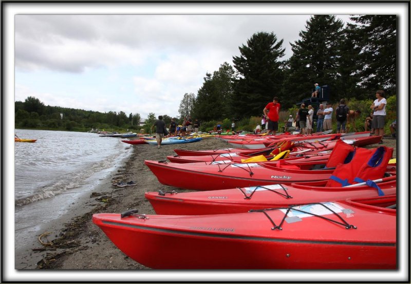 IMG_2382 copy.jpg