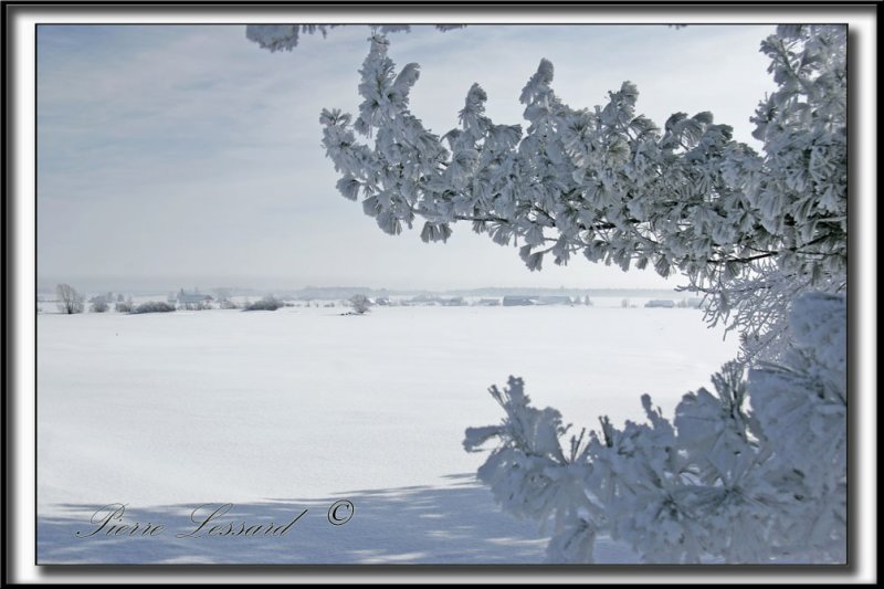 _MG_4772a .jpg -  UNE BELLE JOURNE FROIDE  DHIVER  / A BEAUTIFUL COLD WINTER DAY