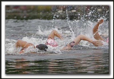 _MG_0821a Fran Crippen