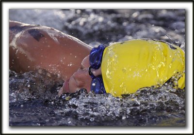 GROS PLAN SUR LES NAGEURS   /   ZOOM ON SWIMMERS