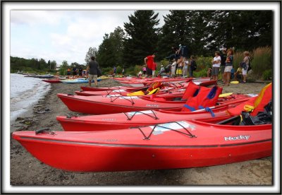 IMG_2381 copy.jpg