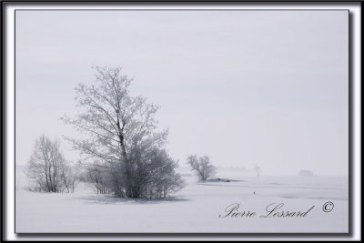 _MG_4696.jpg -  UNE BELLE JOURNE DHIVER  / A BEAUTIFUL WINTER DAY