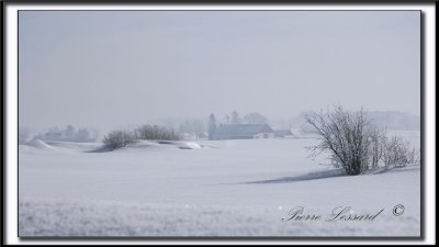 _MG_4713a .jpg -  UNE BELLE JOURNE FROIDE  D'HIVER  / A BEAUTIFUL COLD WINTER DAY