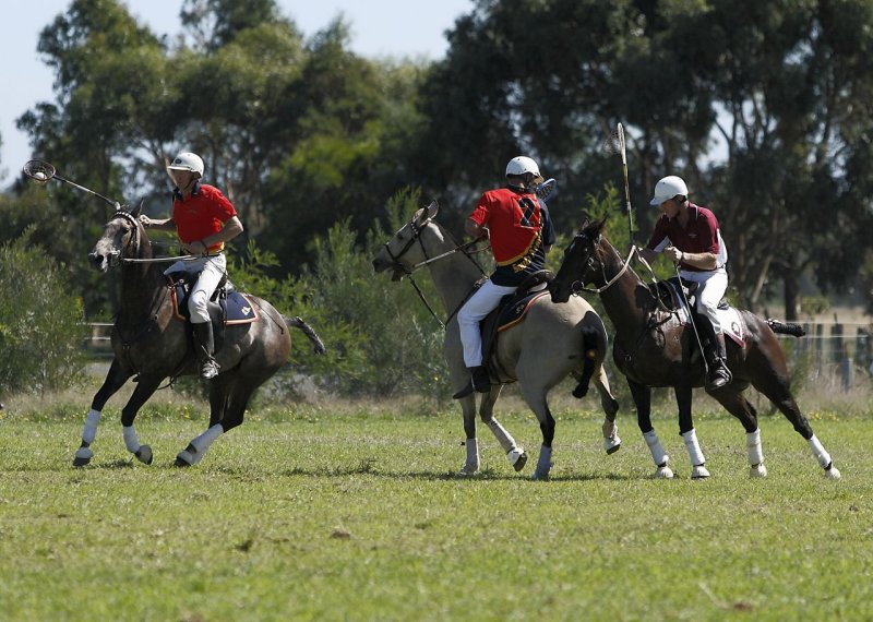 Australian Polocross 101.jpg