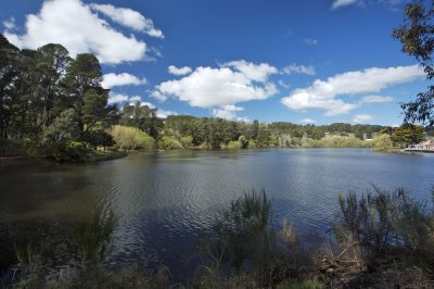Daylesford lake 5.jpg