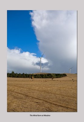 The Wind farm at Waubra.jpg