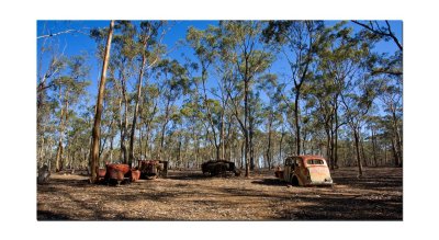 Old Ford cars in the Australian bush