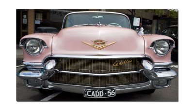The Pink Cadillac.jpg