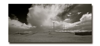 Waubra Wind Farm.jpg