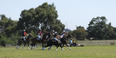 Australian Polocross 104.jpg