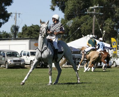 Australian Polocross 106.jpg