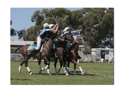 The Polocross horses and riders 6.jpg
