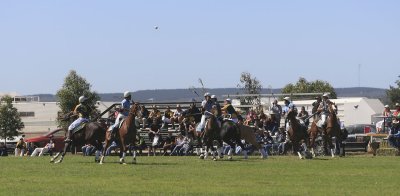 The Polocross horses and riders 2.jpg