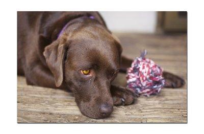 Ginny 006.jpg
