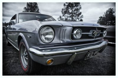 Mustang 64.jpg