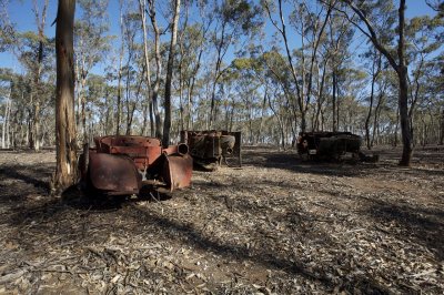Old Fords dumped  in the bush 10.jpg