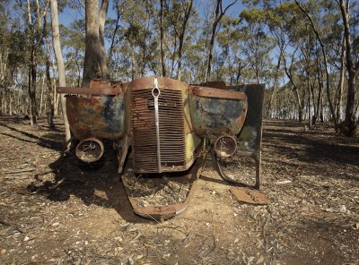 Old Fords dumped in the bush 2.jpg