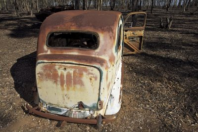 Old Fords dumped in the bush 9.jpg