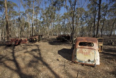 Old Fords dumped in the bush 8.jpg