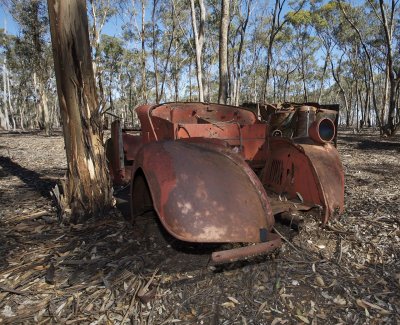 Old Fords dumped in the bush 3.jpg