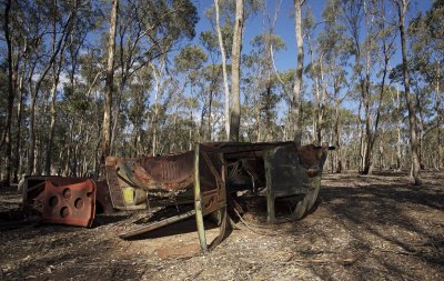 Old Fords dumped in the bush 4.jpg