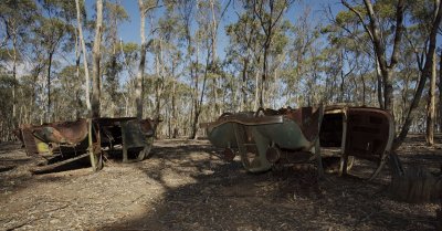 Old Fords dumped in the bush 6.jpg