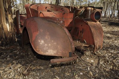 Old Fords dumped in the bush 17.jpg