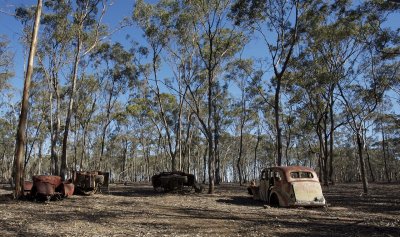Old Fords dumped in the bush 19.jpg