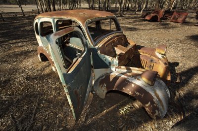 Old Ford rusting in the bush 1.jpg