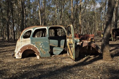 Old Ford rusting in the bush 7.jpg