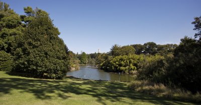 Melbourne Botanic gardens 6.jpg