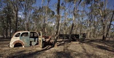 Old car rusting 2.jpg